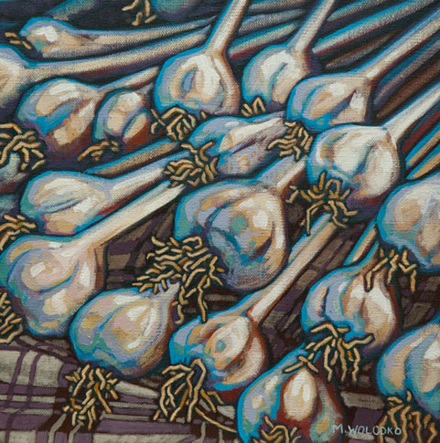 Garlic