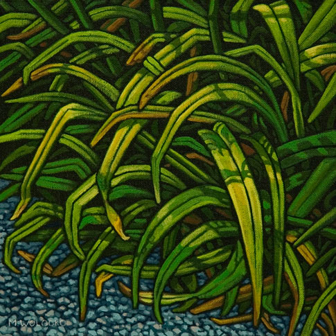 Lily Leaves