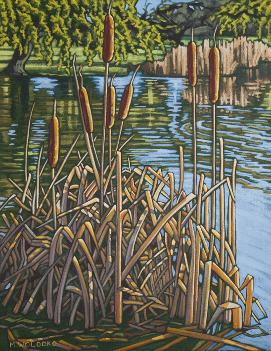Cattails in Jericho Park